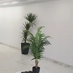 Casa Blanca Playa Paraiso Tenerife Appartement *